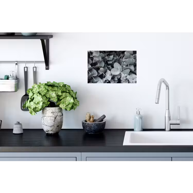 Close-up van eucalyptusplanten uit de natuur Muursticker klein -keuken