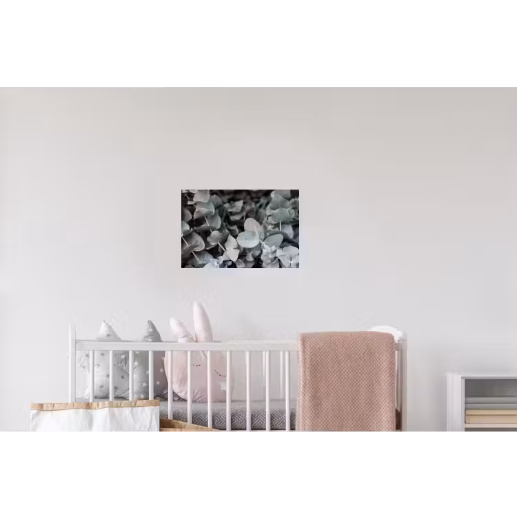 Close-up van eucalyptusplanten uit de natuur Muursticker klein -kinderkamer