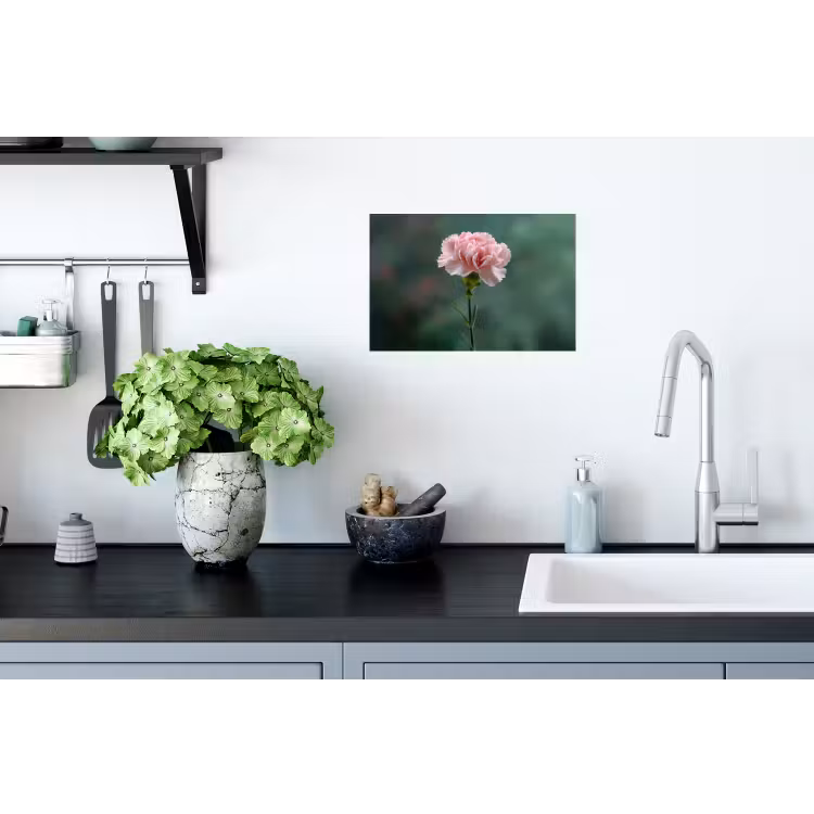 Anjer - Roze - Bloemblaadjes Muursticker klein -keuken