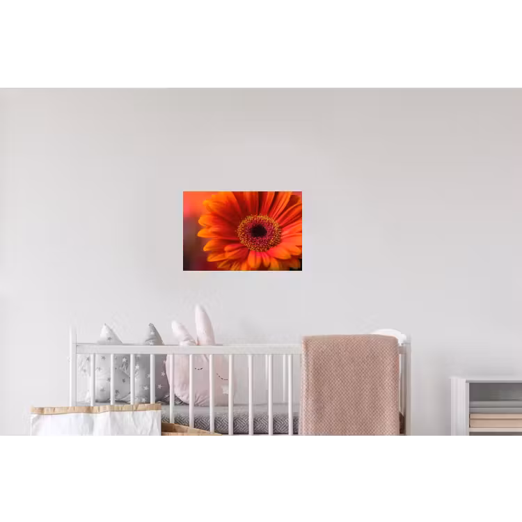Oranje - Gerbera - Intens Muursticker klein -kinderkamer