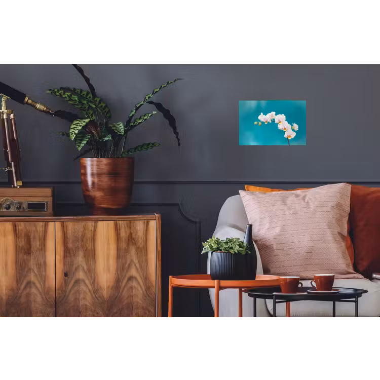 Orchidee - Bloemen - Plant - Wit - Paars Muursticker klein -kamerbank