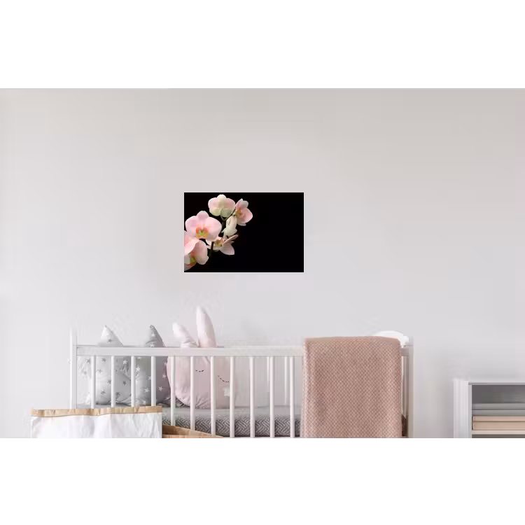 Orchidee - Bloemen - Roze - Stilleven - Flora Muursticker klein -kinderkamer