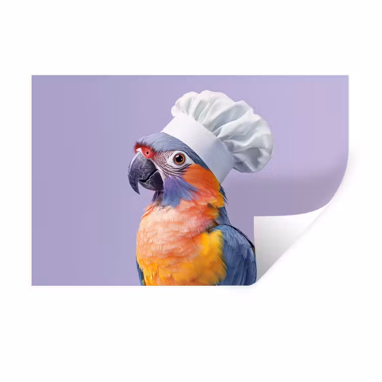 Papegaai - Koksmuts - Paars - Cute Muursticker klein -3d