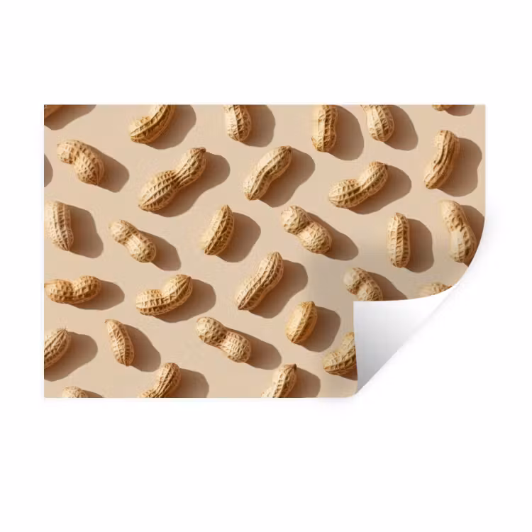 Pinda's - Patroon - Beige Muursticker klein -3d
