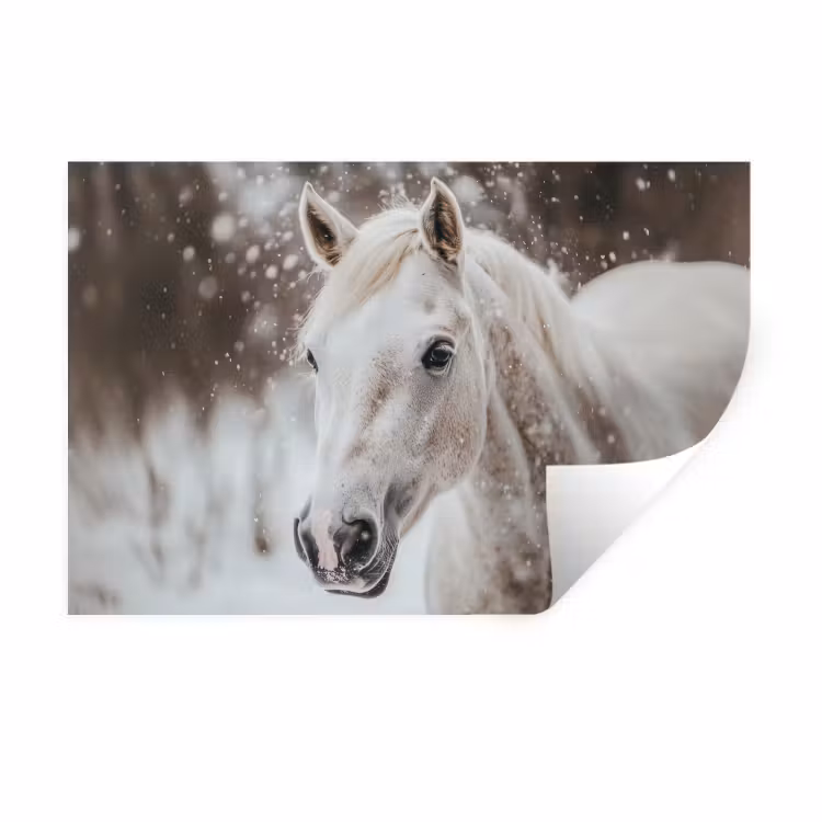 Paard - Wit - Winter - Natuur - Sneeuw - Dieren Muursticker klein -3d