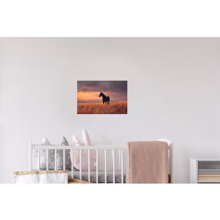 Paard - Wolken - Open veld Muursticker klein -kinderkamer
