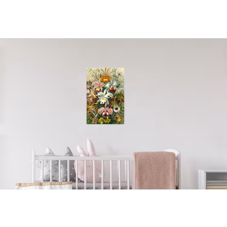 Planten - Natuur - Bloemen - Ernst Haeckel Muursticker klein -kinderkamer