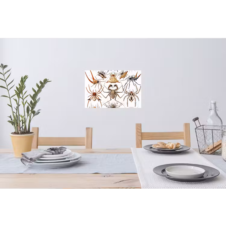 Retro - Ernst Haeckel - Insecten - Tuinposter - Tuin Muursticker klein -eettafel