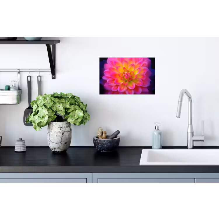 Roze - Dahlia - Kleurrijk Muursticker klein -keuken