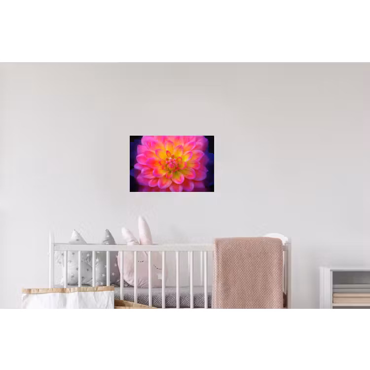 Roze - Dahlia - Kleurrijk Muursticker klein -kinderkamer