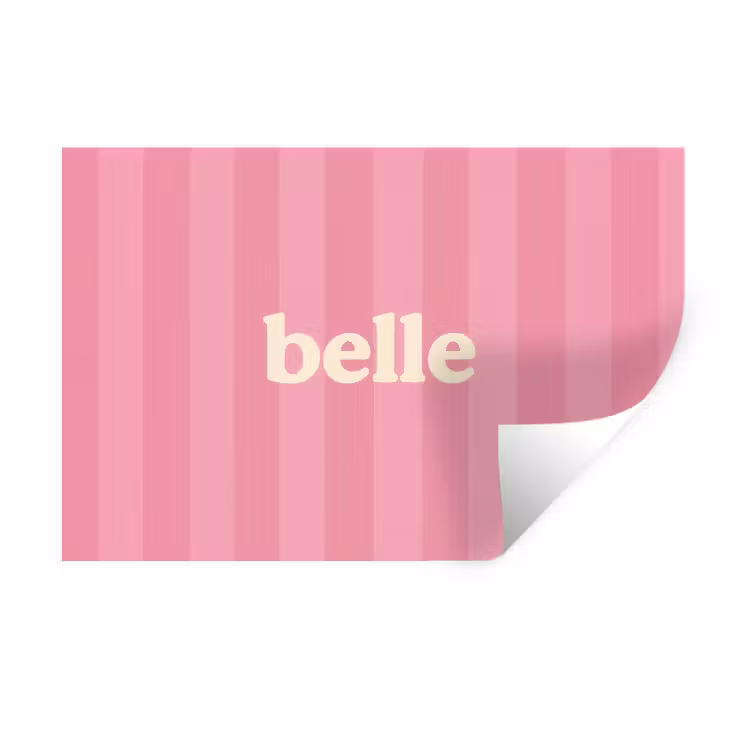 Roze - Gestreept - Belle Muursticker klein -3d