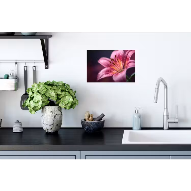 Roze - lelie - Dauwdruppels Muursticker klein -keuken