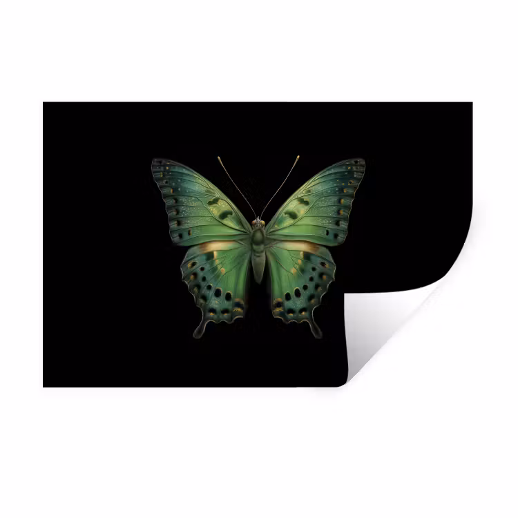 Vlinder - Groen - Diepte Muursticker klein -3d
