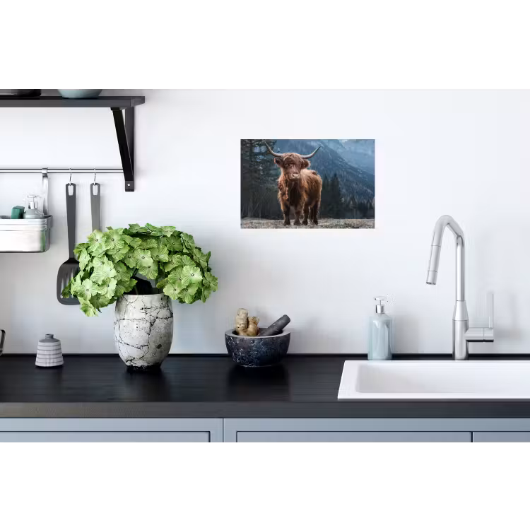 Schotse hooglander - Berg - Landschap - Bomen - Koe - Natuur Muursticker klein -keuken