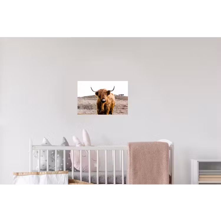Schotse hooglander - Landschap - Koe - Bruin - Dieren - Natuur Muursticker klein -kinderkamer