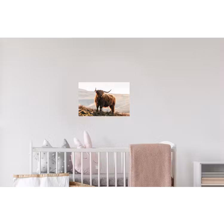 Schotse hooglander - Dieren - Landelijk - Landschap - Koe - Natuur Muursticker klein -kinderkamer