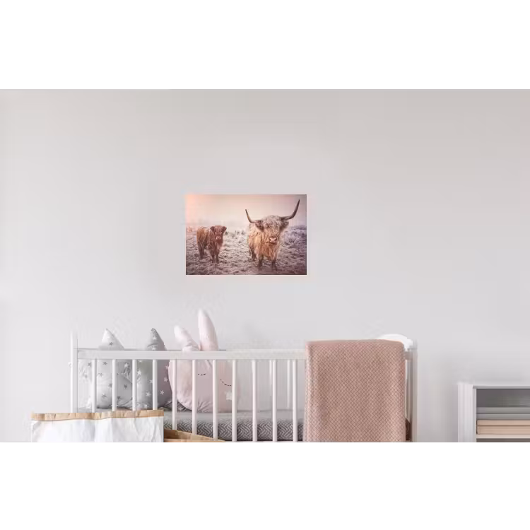Schotse hooglanders - Licht - Lucht - Natuur Muursticker klein -kinderkamer