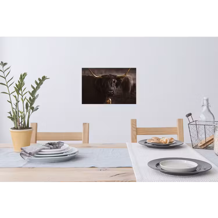 Schotse hooglander - Goud - Koebel - Hoorns - Dieren Muursticker klein -eettafel