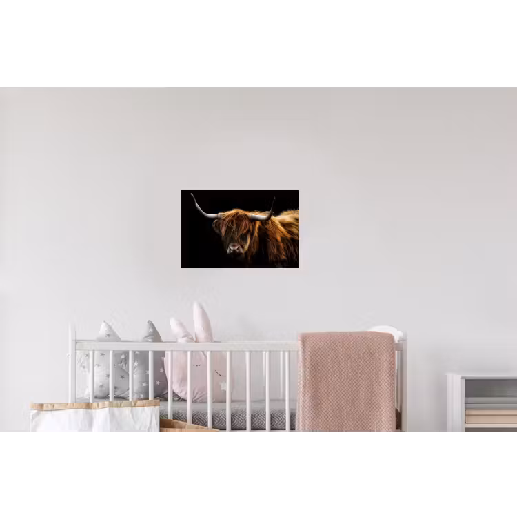 Schotse Hooglander - Horens - Zwart - Dieren - Natuur - Wild - Koe Muursticker klein -kinderkamer