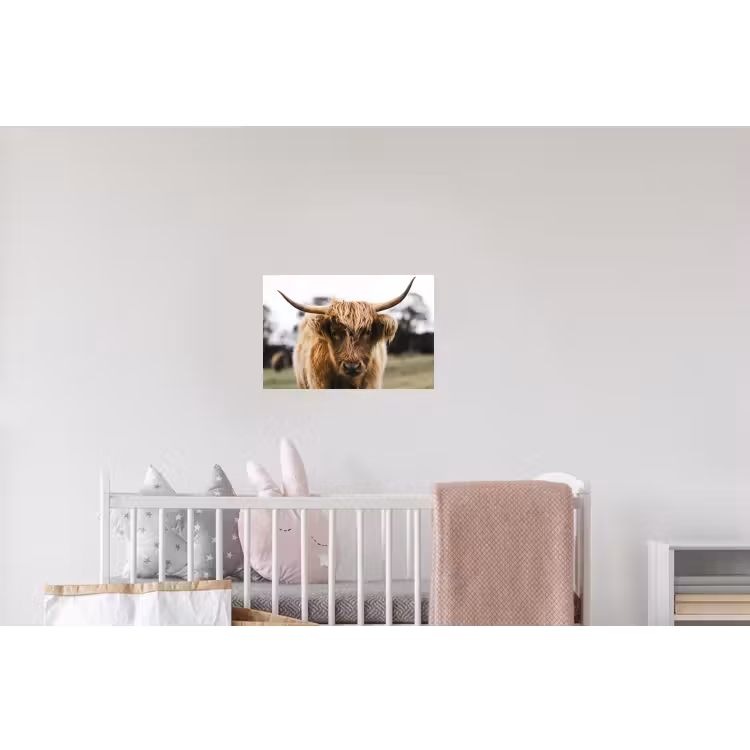 Schotse Hooglander - Koe - Gras - Dieren - Natuur Muursticker klein -kinderkamer