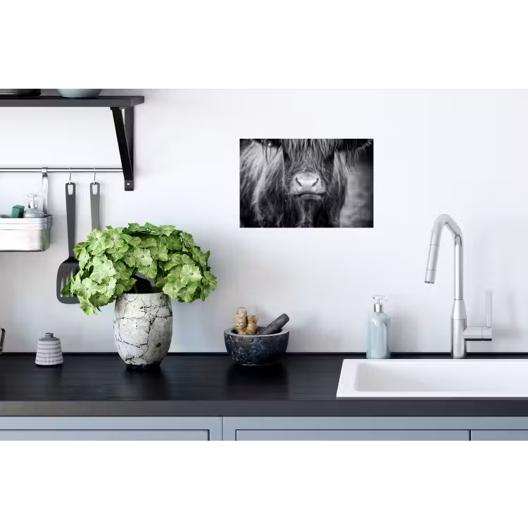 Schotse hooglander - Koe - Zwart - Wit - Dieren Muursticker klein -keuken