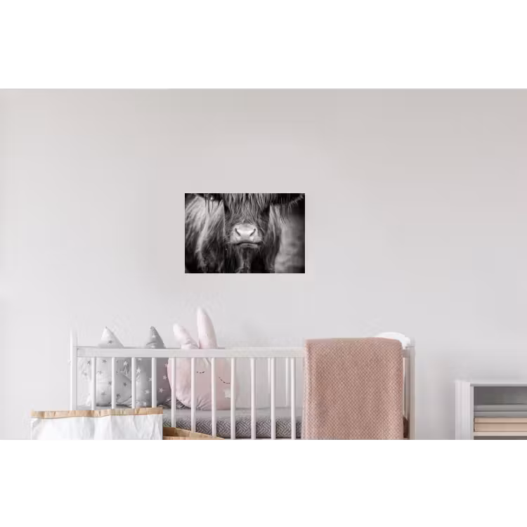 Schotse hooglander - Koe - Zwart - Wit - Dieren Muursticker klein -kinderkamer