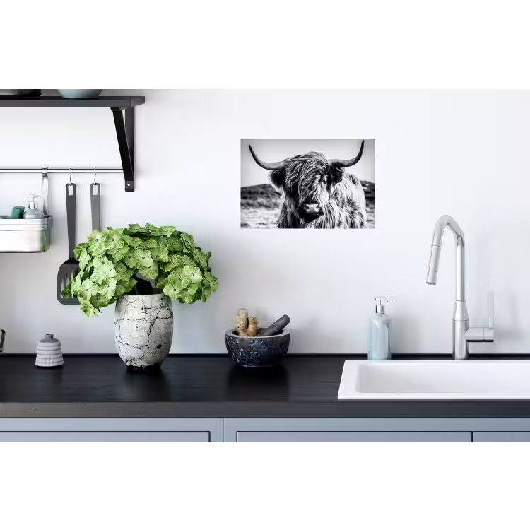 Schotse hooglander - Natuur - Koe - Zwart - Wit Muursticker klein -keuken
