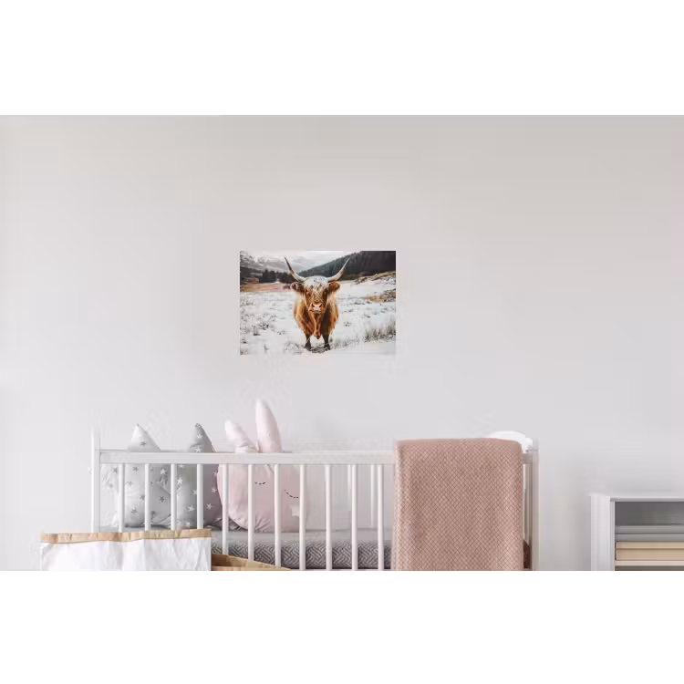 Schotse Hooglander - Sneeuw - Winter - Dieren Muursticker klein -kinderkamer