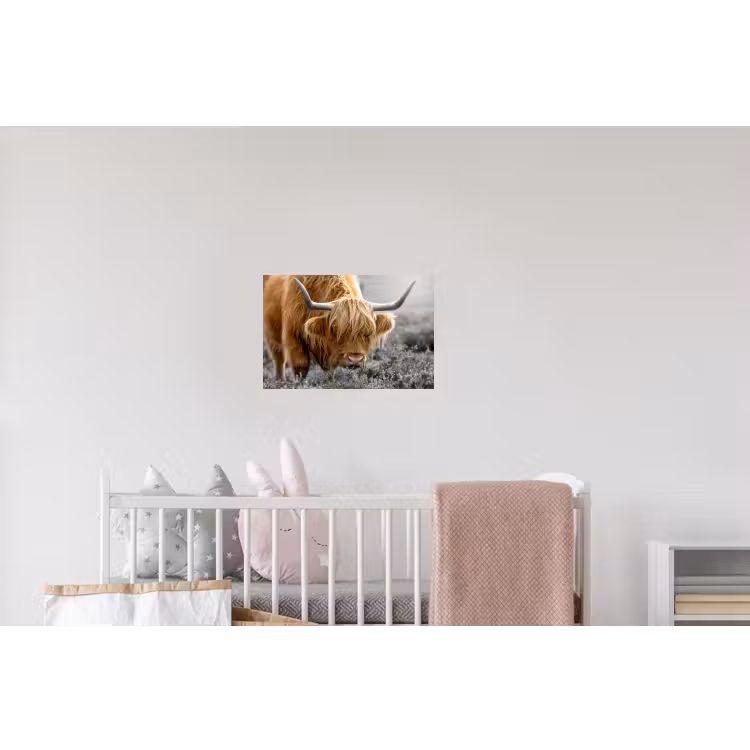 Schotse Hooglander - Dieren - Bruin - Koe - Zwart - Wit - Natuur Muursticker klein -kinderkamer