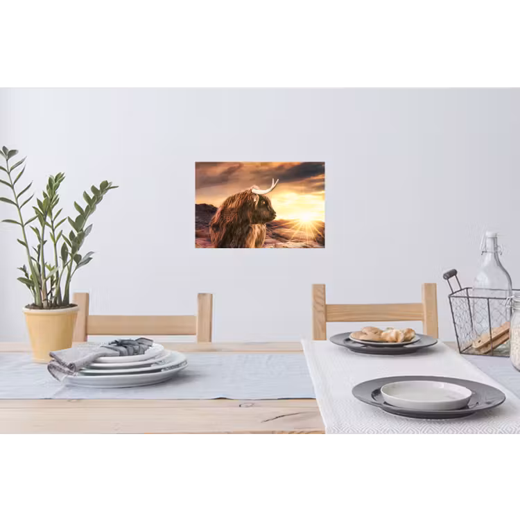 Schotse hooglander - Zon - Horizon - Koe - Dieren Muursticker klein -eettafel