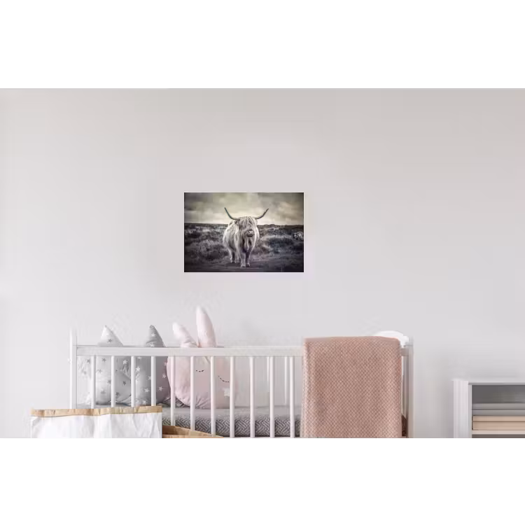 Schotse hooglander - Dieren - Wolken - Koe - Natuur Muursticker klein -kinderkamer
