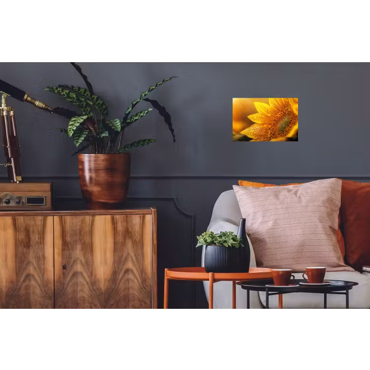 Zonnebloem - Dauwdruppels - Geel - Zonlicht Muursticker klein -kamerbank