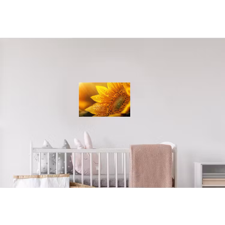 Zonnebloem - Dauwdruppels - Geel - Zonlicht Muursticker klein -kinderkamer