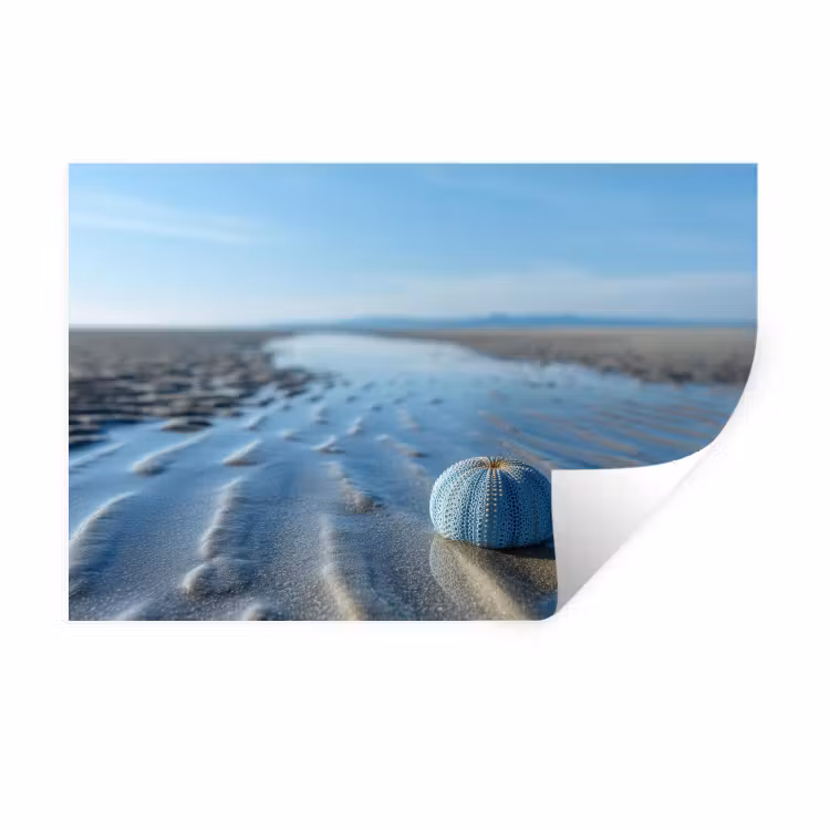 Strand - Schild - Water - Blauw Muursticker klein -3d
