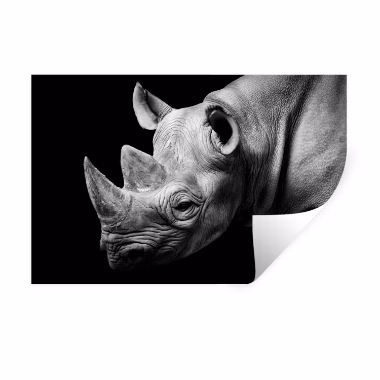 Dieren - Neushoorn - Zwart - Wit - Portret Muursticker klein -3d