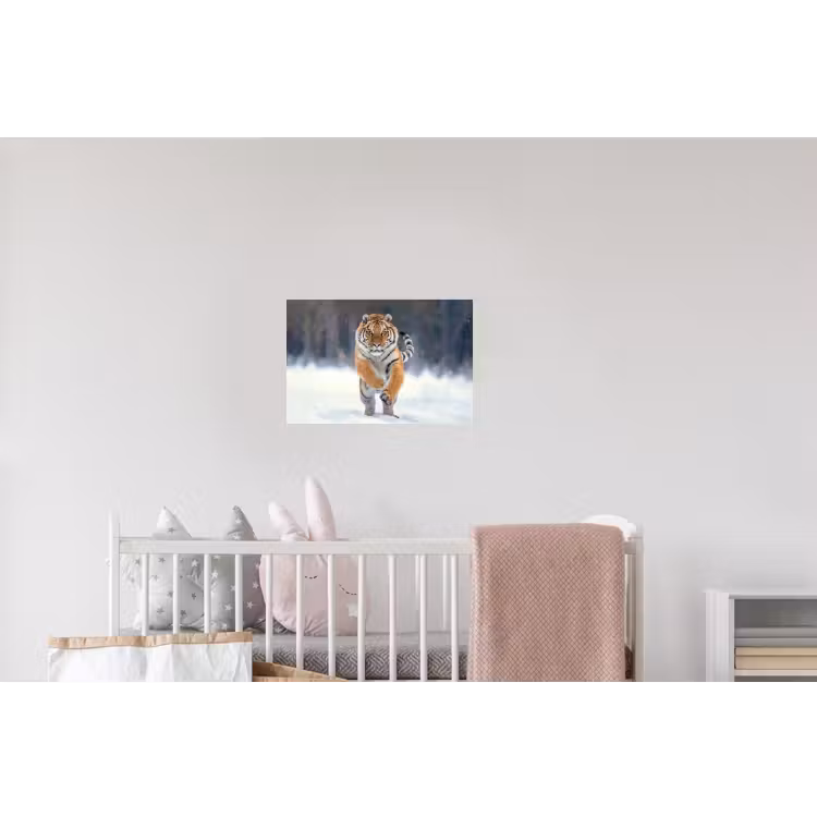 Tijger - Landschap - Sneeuw - Winter - Dieren Muursticker klein -kinderkamer