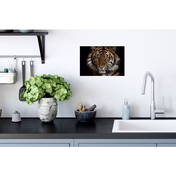 Tijger - Wilde dieren - Portret Muursticker klein -keuken