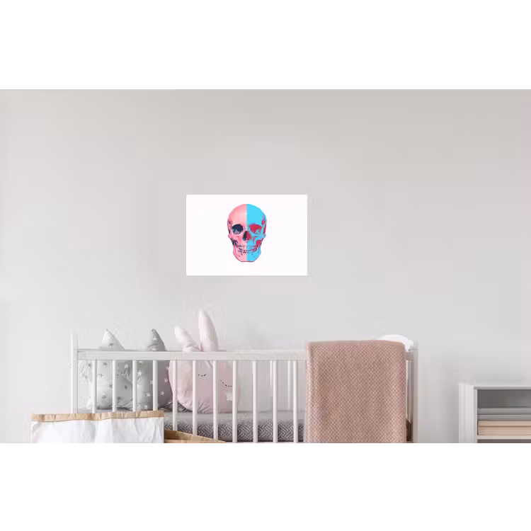 Schedel - Grafisch - Roze - Verdeeld Muursticker klein -kinderkamer