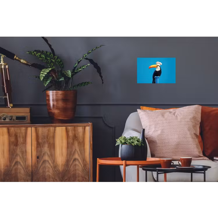 Tucan - Sokkel - Vogel - Koksmuts Muursticker klein -kamerbank