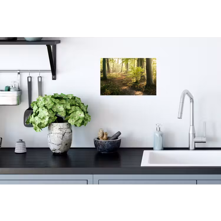 Bos - Bomen - Pad - Zon - Planten - Bladeren - Natuur Muursticker klein -keuken