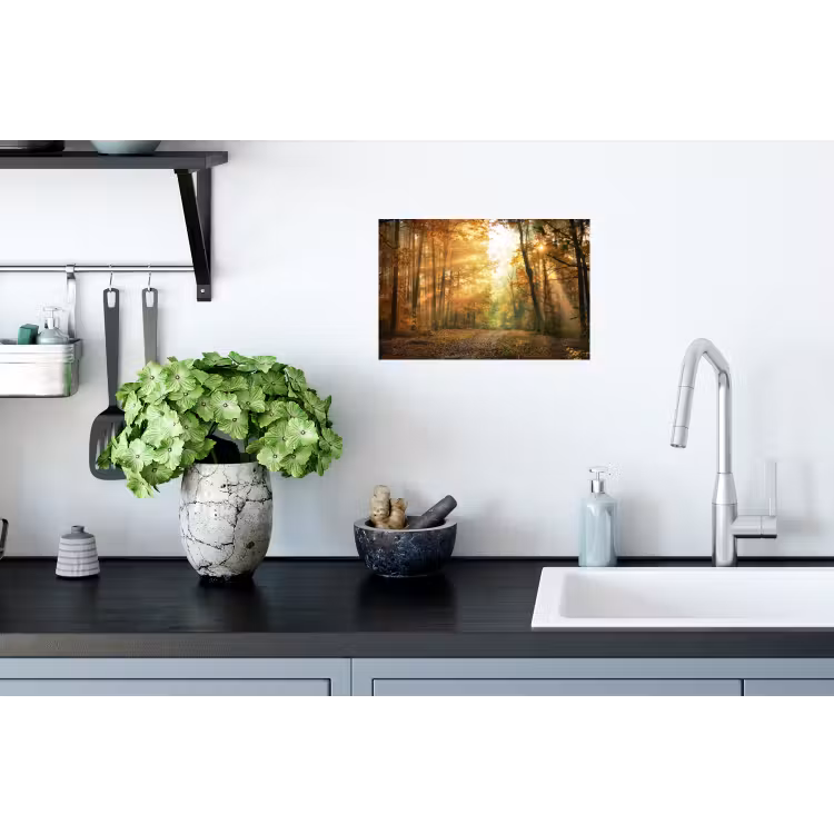 Bos - Herfst - Zon - Landschap - Natuur - Bomen - Bladeren Muursticker klein -keuken