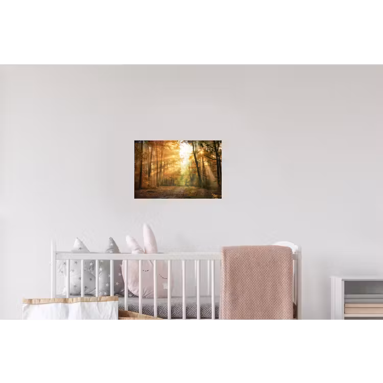 Bos - Herfst - Zon - Landschap - Natuur - Bomen - Bladeren Muursticker klein -kinderkamer