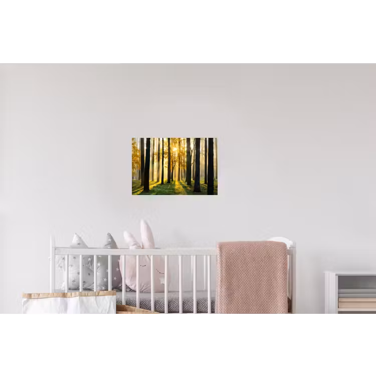 Bos - Zon - Bomen - Gras - Landschap Muursticker klein -kinderkamer