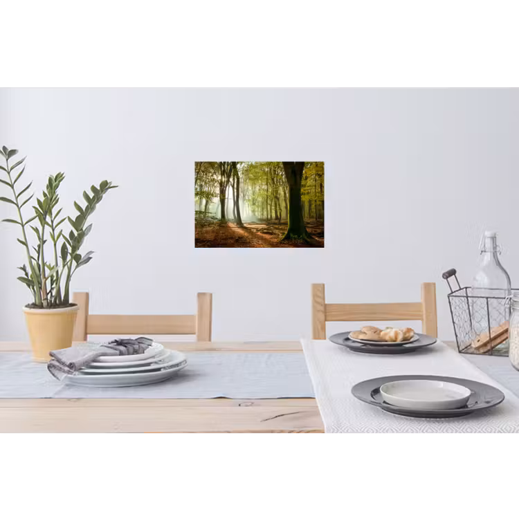 Bos - Zon - Seizoenen - Landschap Muursticker klein -eettafel