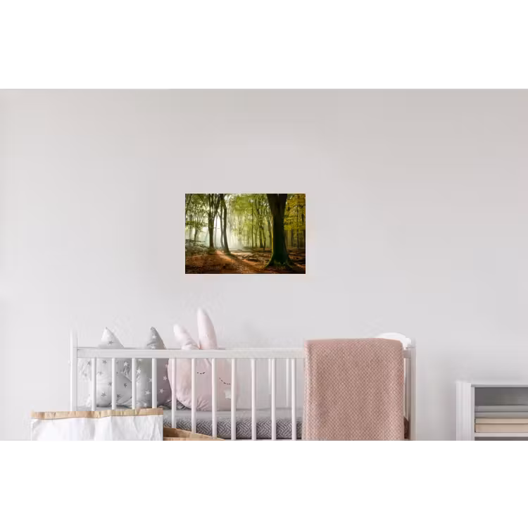 Bos - Zon - Seizoenen - Landschap Muursticker klein -kinderkamer