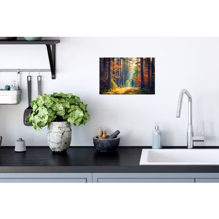 Bos - Zon - Natuur - Herfst Muursticker klein -keuken