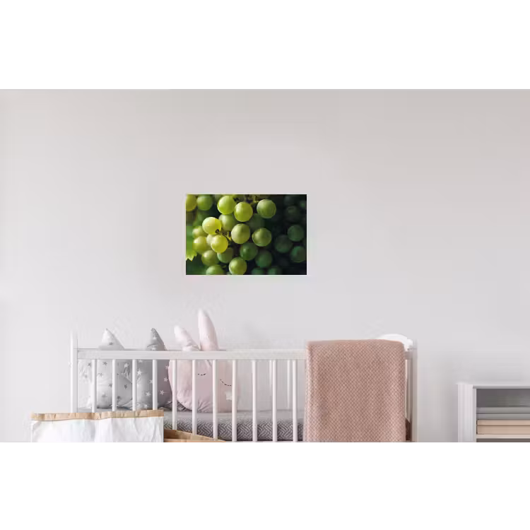 Druiven - Tros - Groen Muursticker klein -kinderkamer