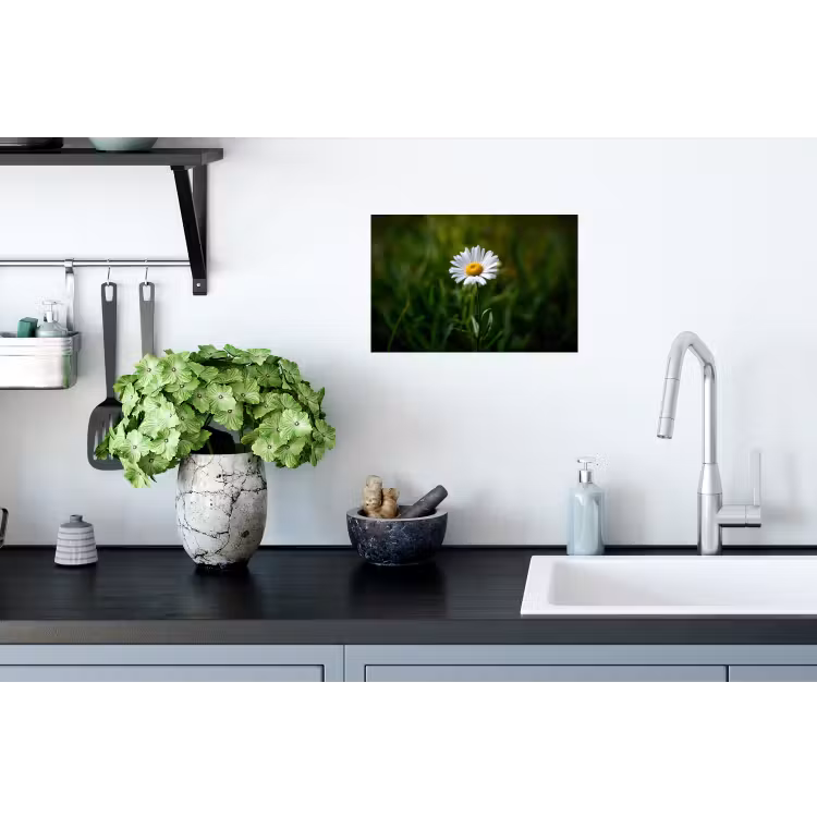 Wit - Madeliefje - Bloem - Gras Muursticker klein -keuken