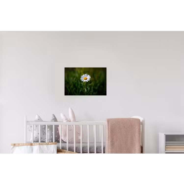 Wit - Madeliefje - Bloem - Gras Muursticker klein -kinderkamer