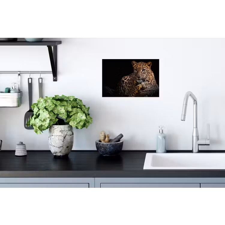 Wilde dieren - Panter - Portret - Zwart - Dieren Muursticker klein -keuken